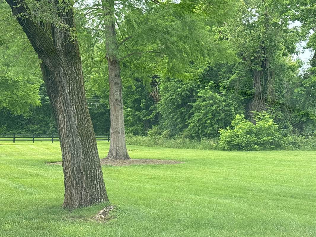 walking near me in Olde Isaak Walton Park in summer