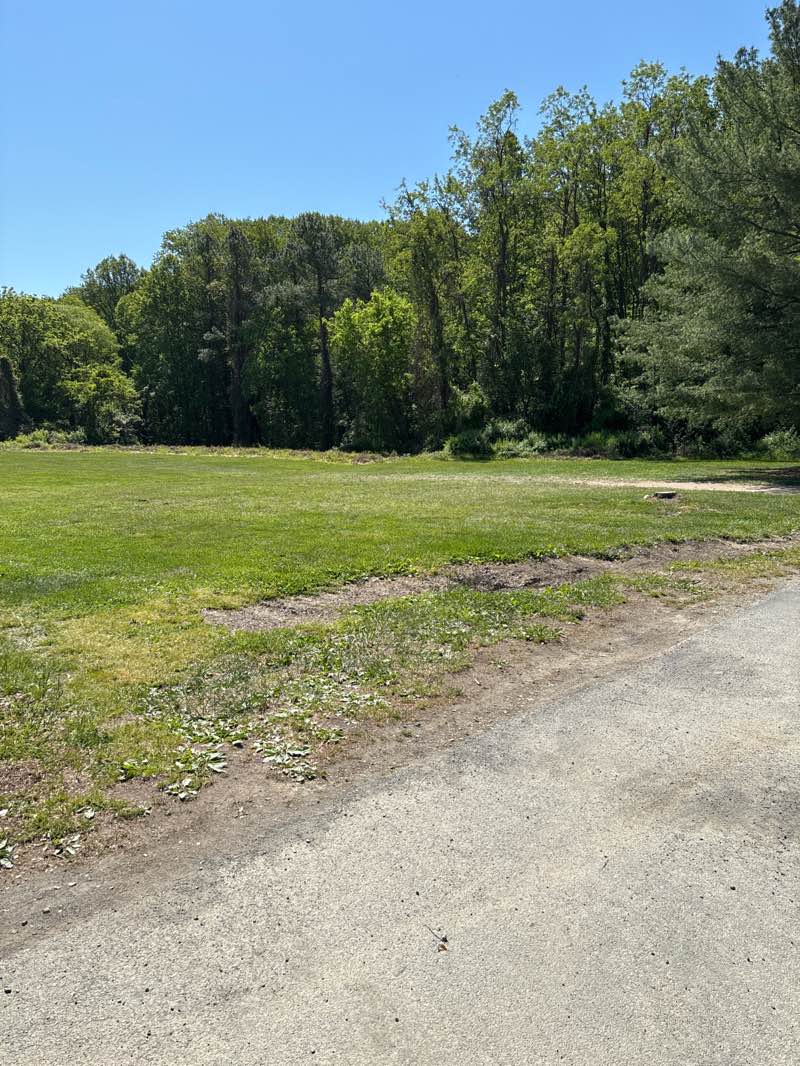 walking near me in Pine Ridge Park in spring