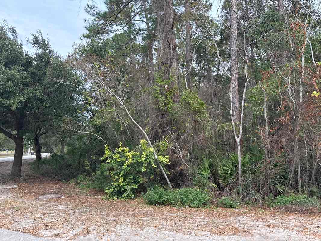 walking near me in Losco Regional Park in autumn