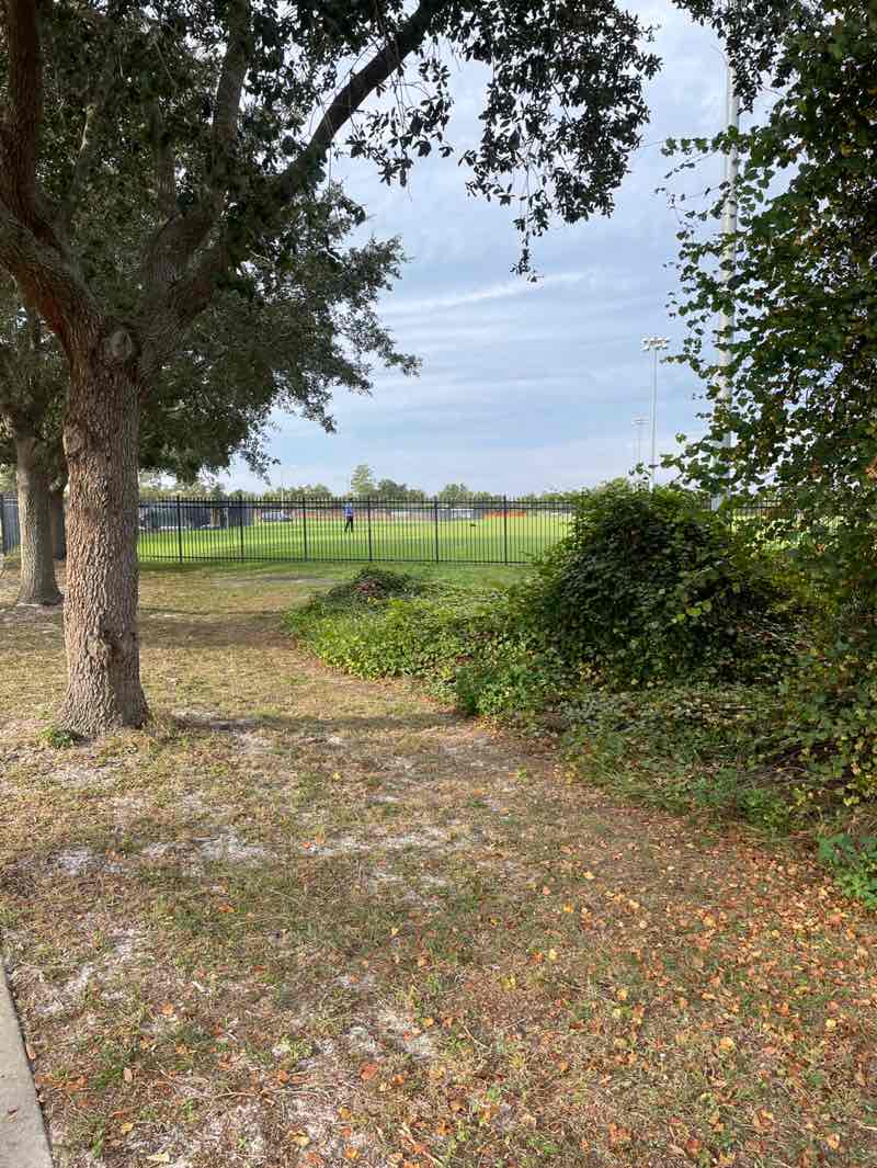 walking near me in Dewey O. Boster Sports Complex in autumn