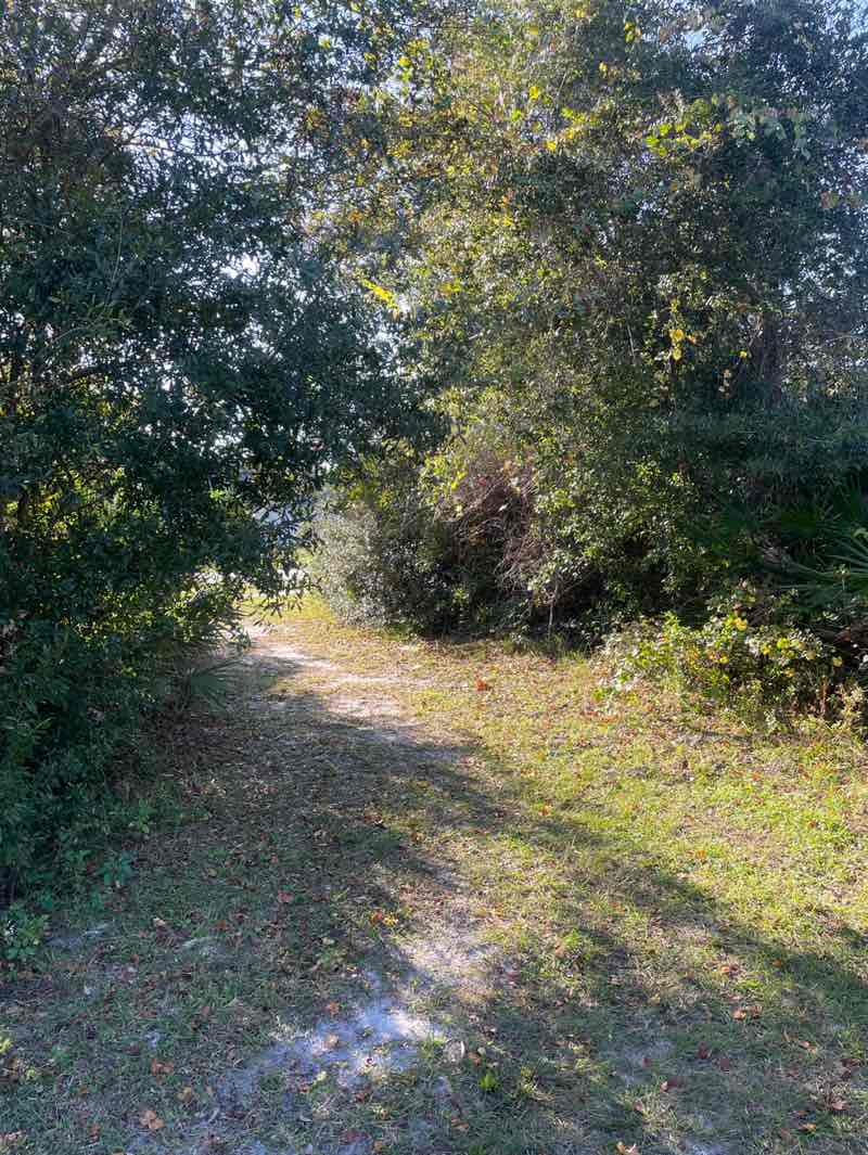 walking near me in Timber Ridge Park in autumn