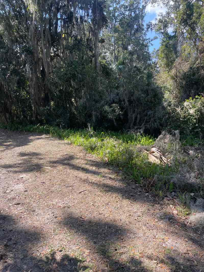 walking near me in Thornby Park in winter