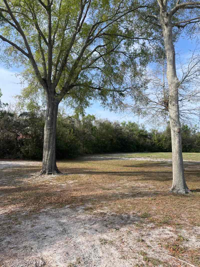 walking near me in Timber Ridge Park in spring