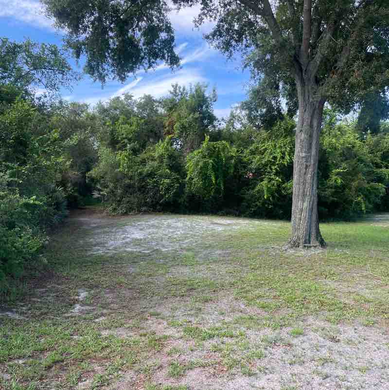 raygunomics  post 1