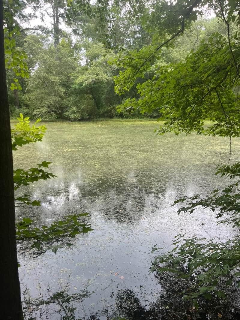 walking near me in Discovery Park at the River Line in autumn
