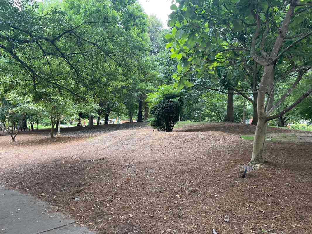 walking near me in Arboretum and Pond in autumn