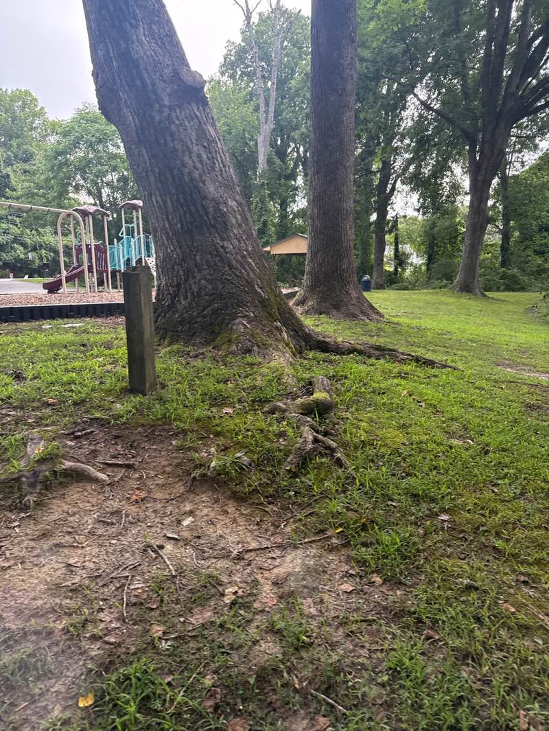 walking near me in Colburn Park in autumn