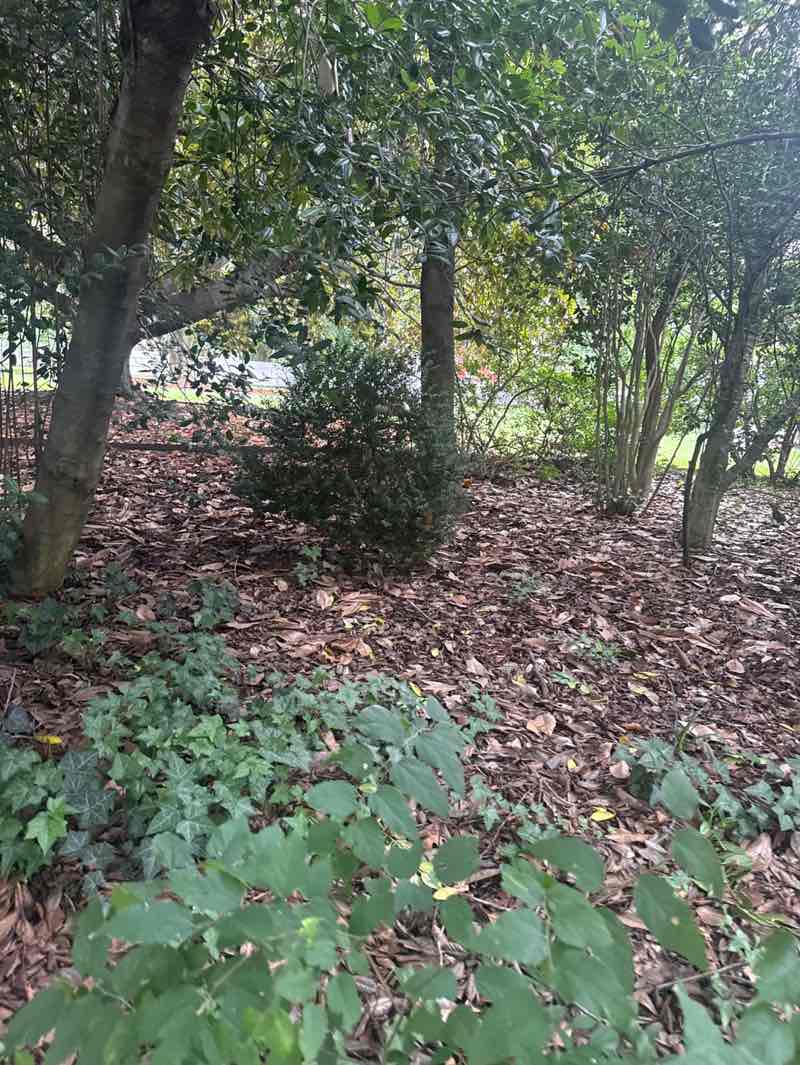 walking near me in Trophy Park in summer