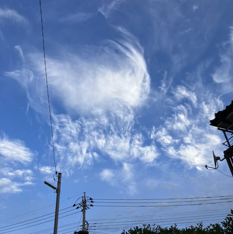 森ママン profile