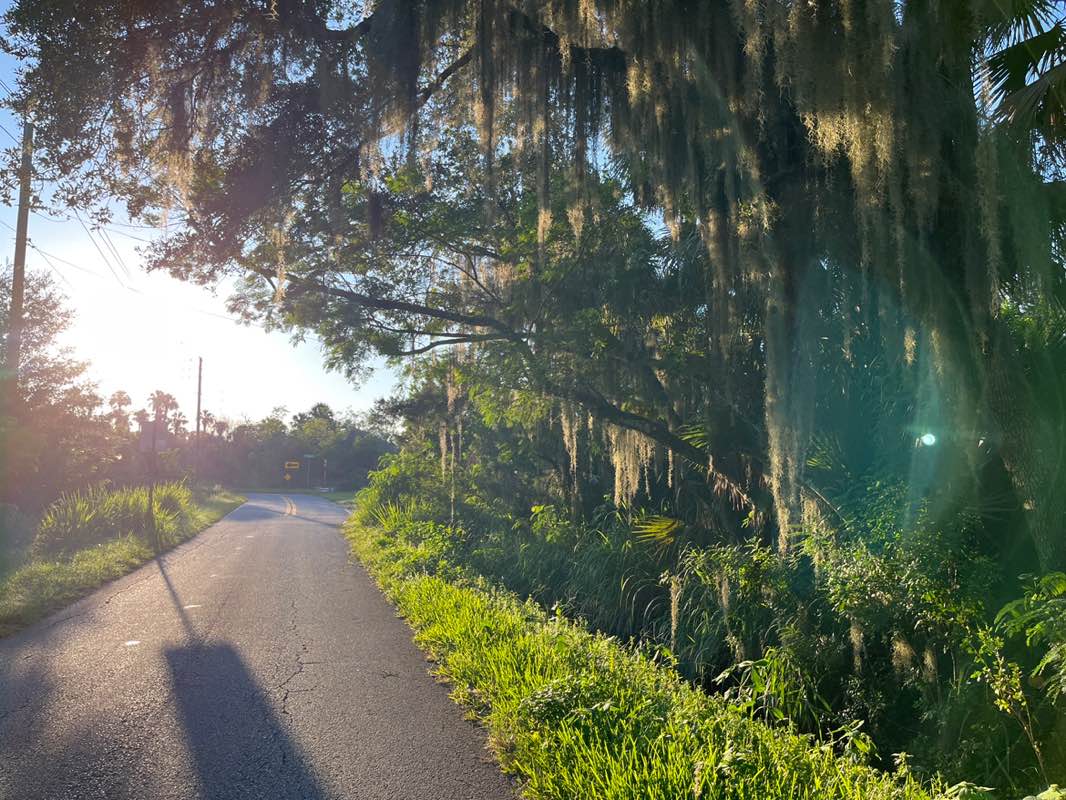 walking near me in Lake Jesup Conservation Area in autumn