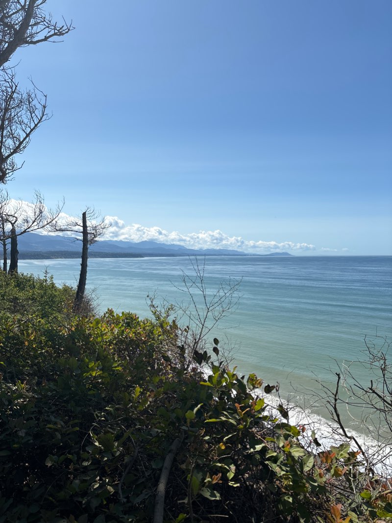 walking near me in Dungeness Recreation Area in winter
