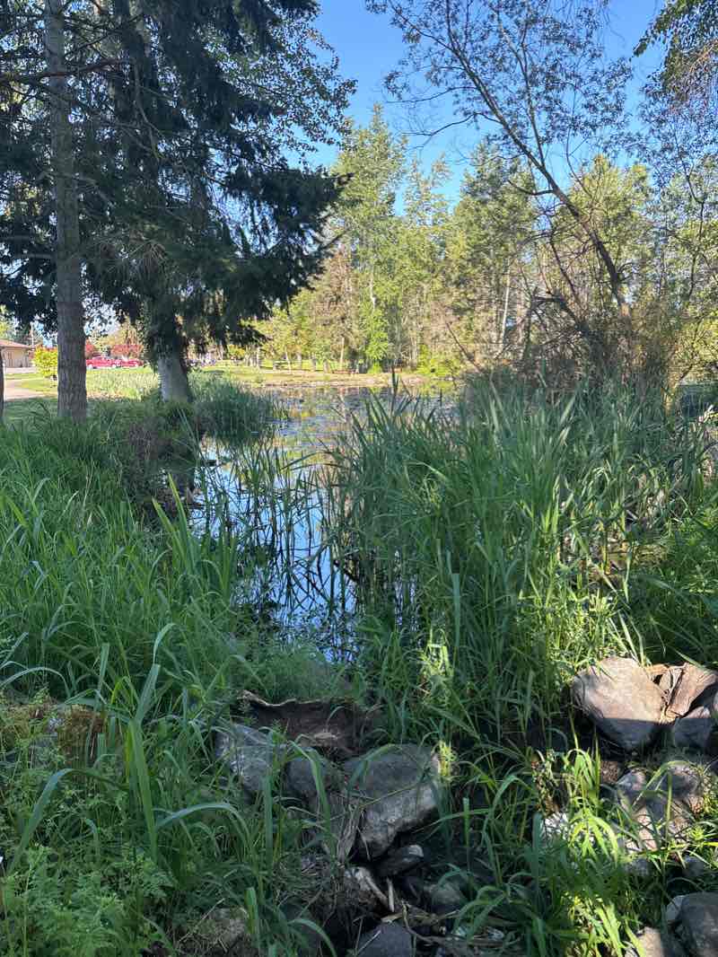 walking near me in Olympic Peninsula Gardens in winter