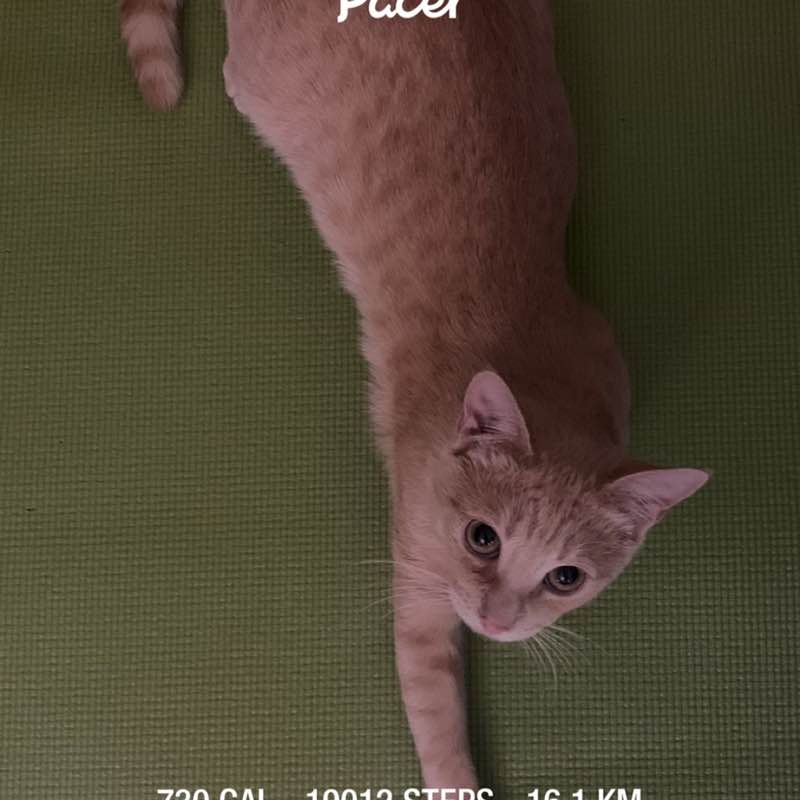 Anastasia 🍾 post 1