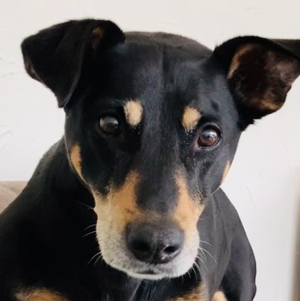 Petra _65 profile