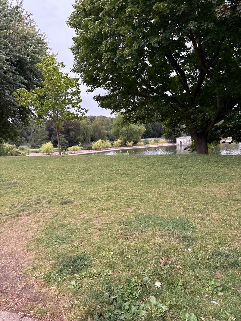 walking near me in Mote Park in autumn