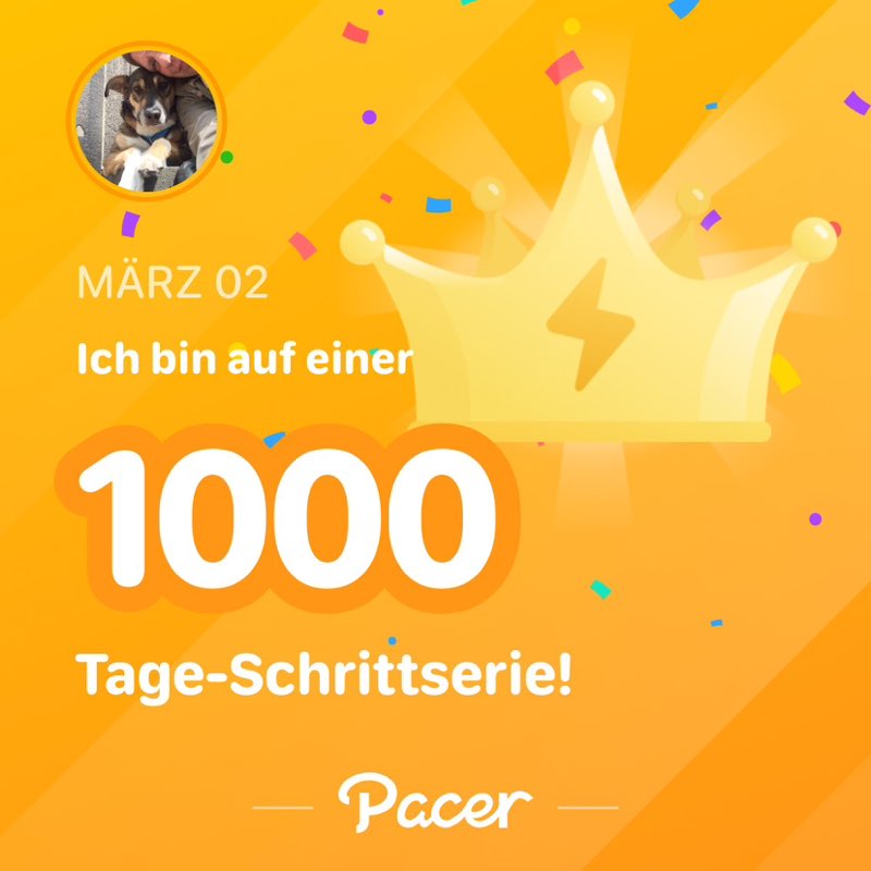 Die Hochleistungs-Gassigeher 😎 Erika_1967 post image