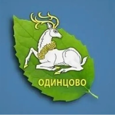 Шагаем в Одинцово Шагаем в Одинцово post image