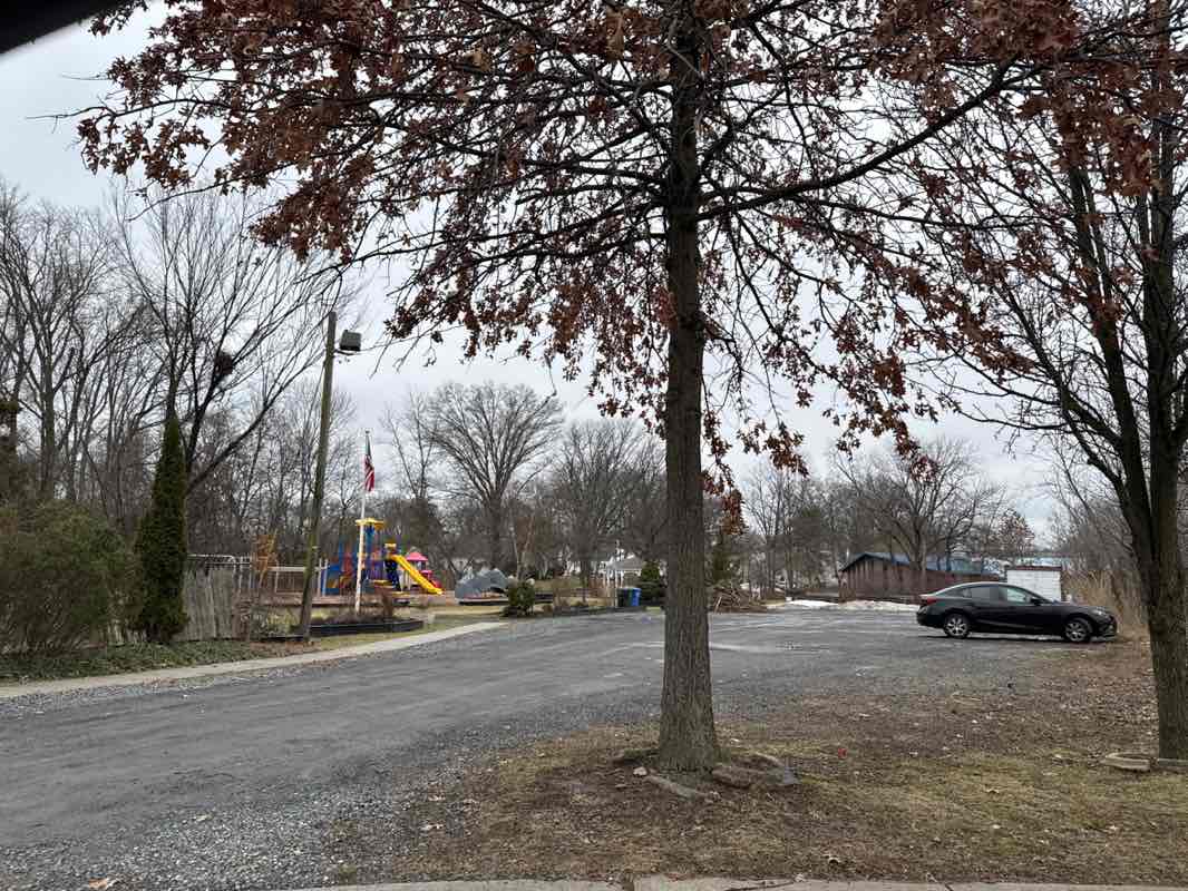walking near me in Charles Shaughnessy Park in spring