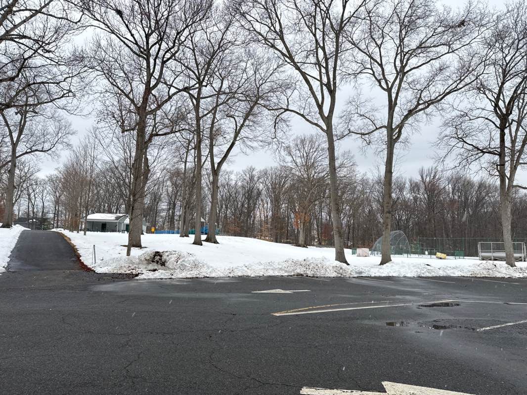 walking near me in Brookside Park in spring