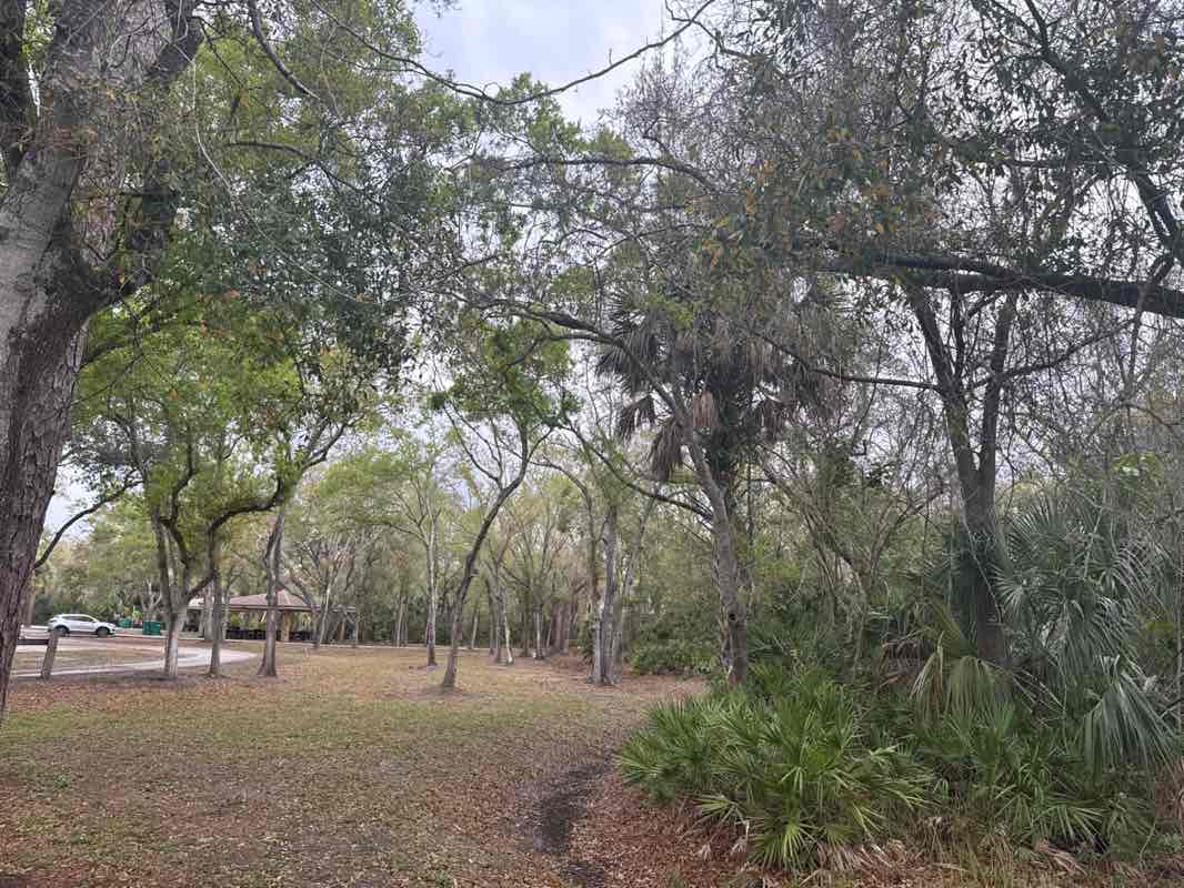 walking near me in Helen Howarth Park in spring