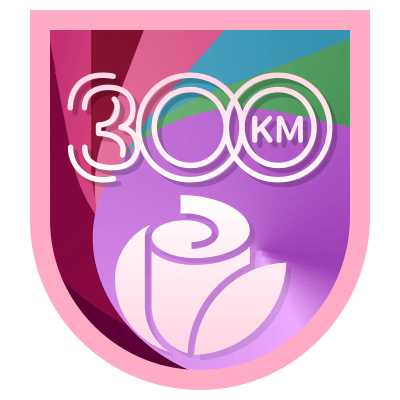 300 km