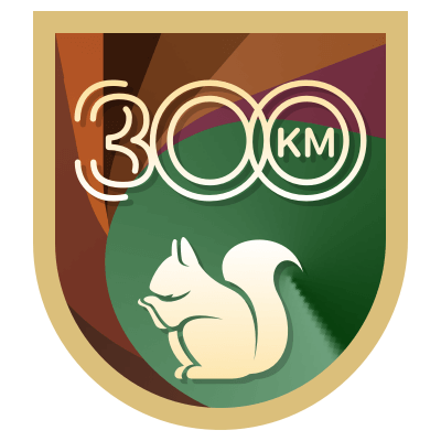 300 km