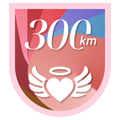 300 km