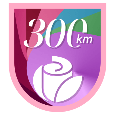 300 km