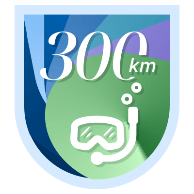 300 km