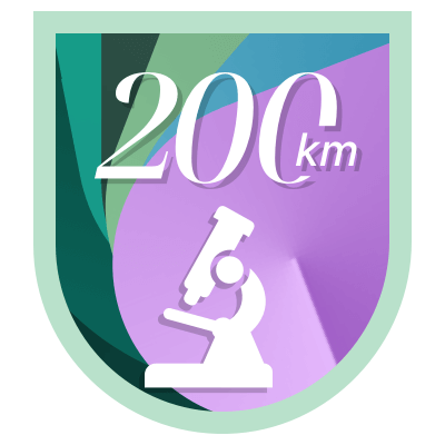 200 km