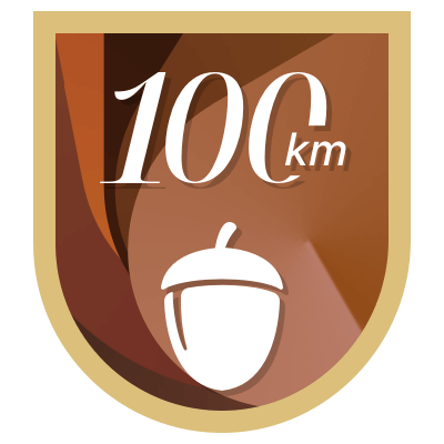 100 km