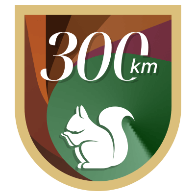 300 km