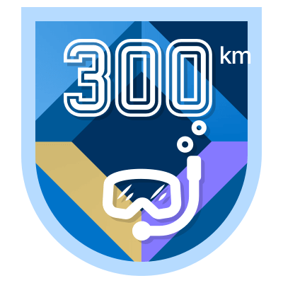 300 km icon