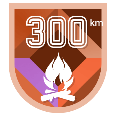 300 km icon
