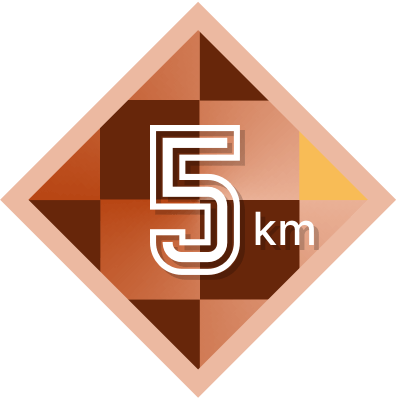 5k Completed icon