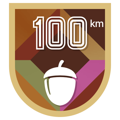 100 km icon