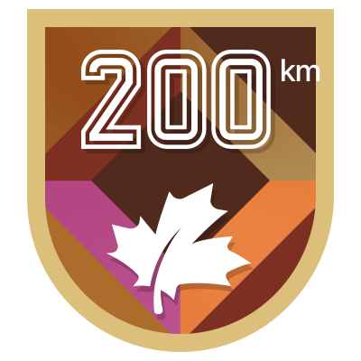 200 km icon