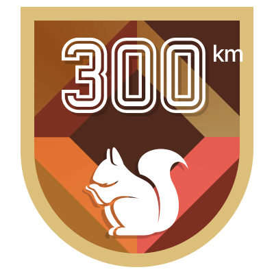 300 km icon