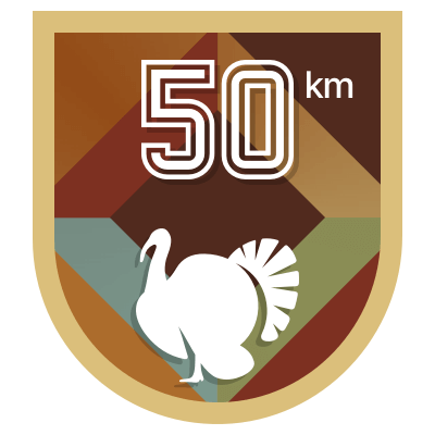 50 km icon