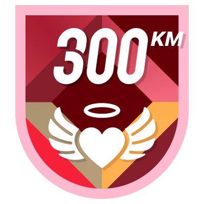 300 km icon