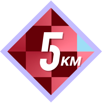 5k Completed icon