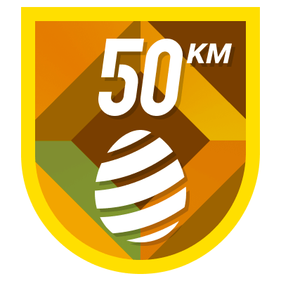 50 km icon