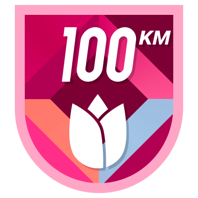 100 km