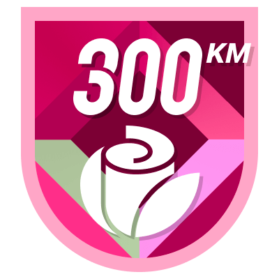 300 km