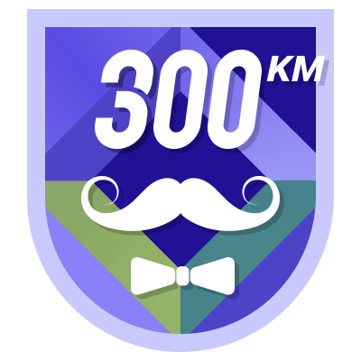 300 km icon