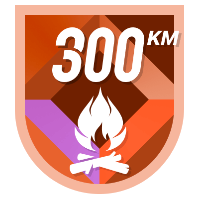 300 km icon