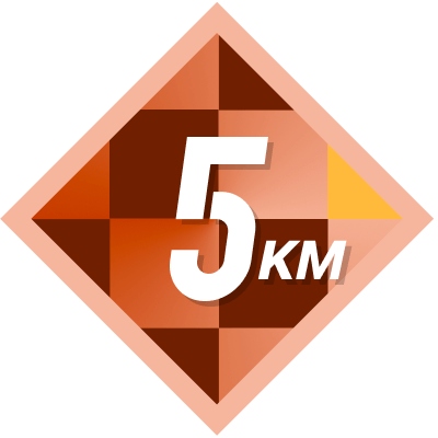5k Completed