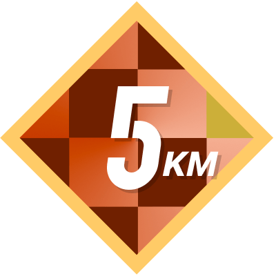 5k Completed