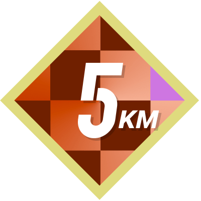 5k Completed