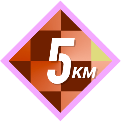 5k Completed